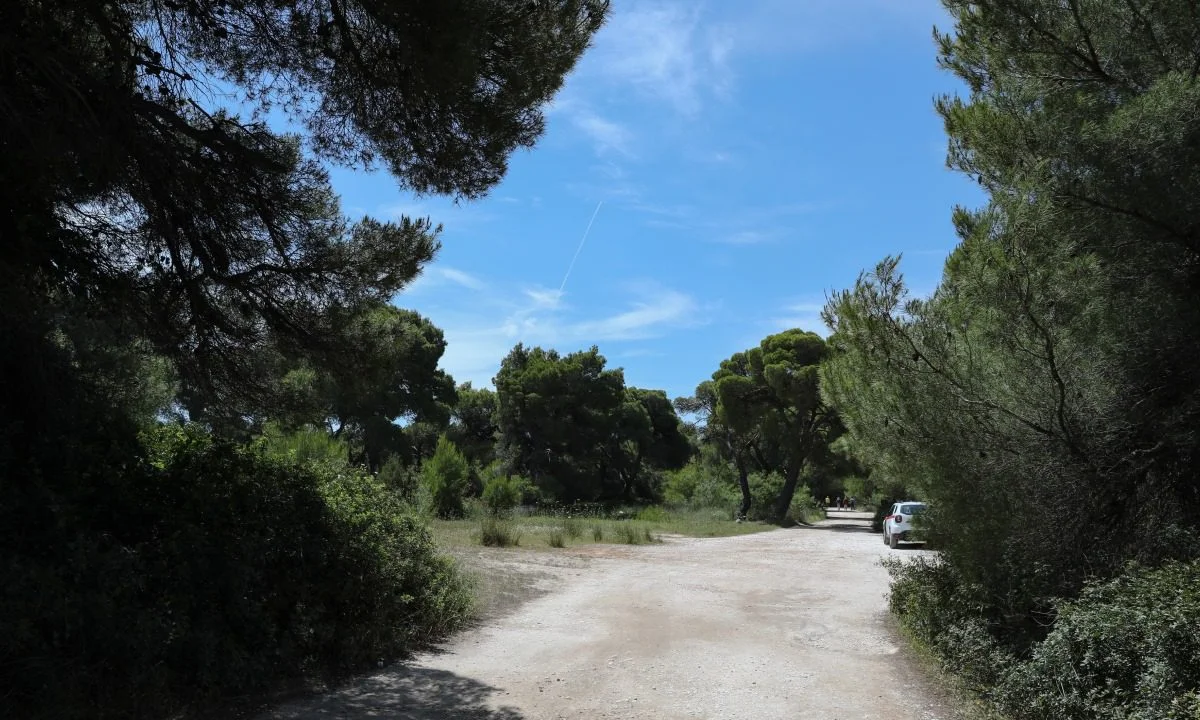 Αδυνατεί να κατανοήσει ο Γιάννης Σγουρός, τον λόγο για τον οποίο αποφάσισε η Περιφέρεια Αττικής να κλείσει τα μεγάλα πάρκα της Αττικής.