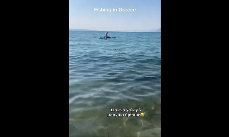 Χαλκίδα: Λαχτάρισαν σε παραλία νομίζοντας πως είναι καρχαρίας - Το video που έγινε viral