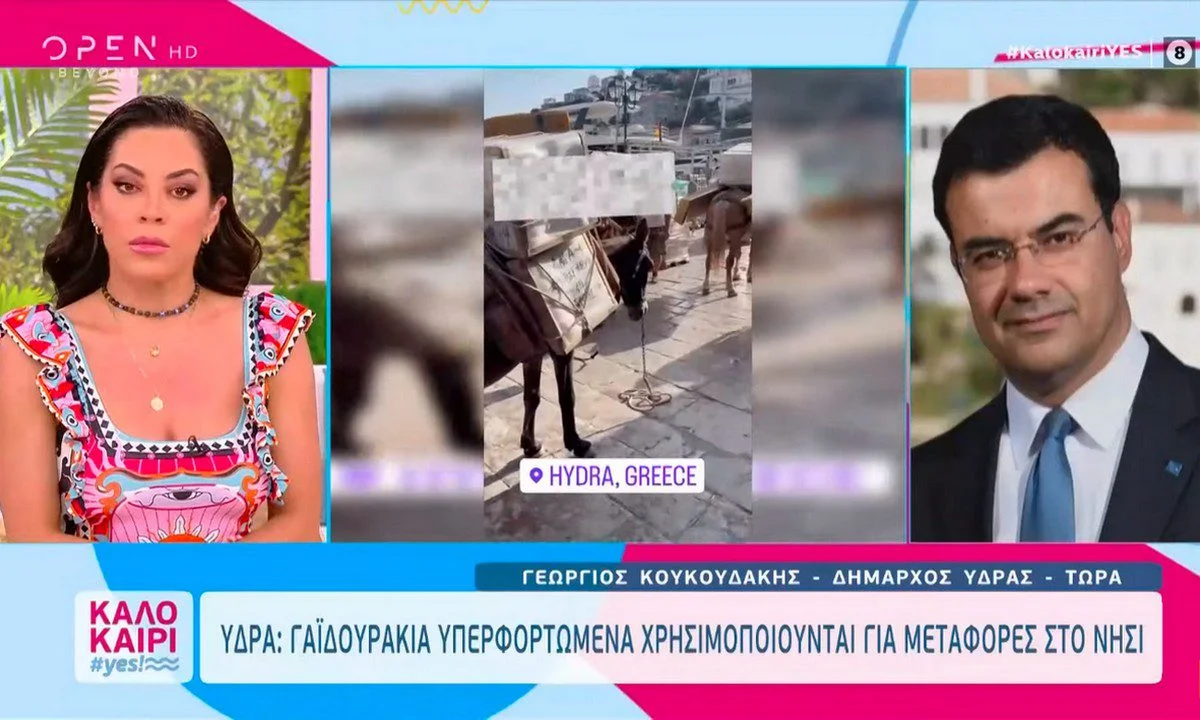 Γαϊδουράκια στην Ύδρα: Χαμός με την Μαριάντα Πιερίδη και τον δήμαρχο - Πώς τον… ισοπέδωσε;