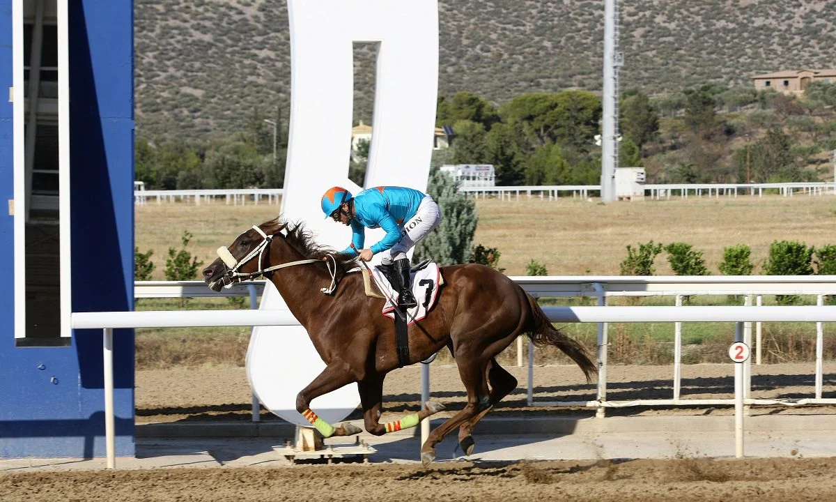 Markopoulo Park: Πέντε Ελληνικές Ιπποδρομίες και 3 ΣΚΟΡ στη συγκέντρωση της Δευτέρας