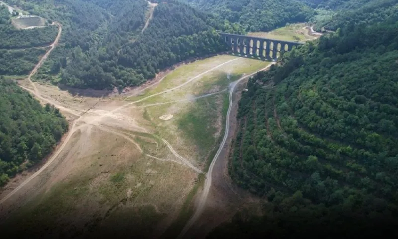 ΣΟΚ στην Τουρκια: Τα φράγματα της Κωνσταντινούπολης άδειασαν από νερό - Βόσκουν πρόβατα εκεί που υπήρχε νερό