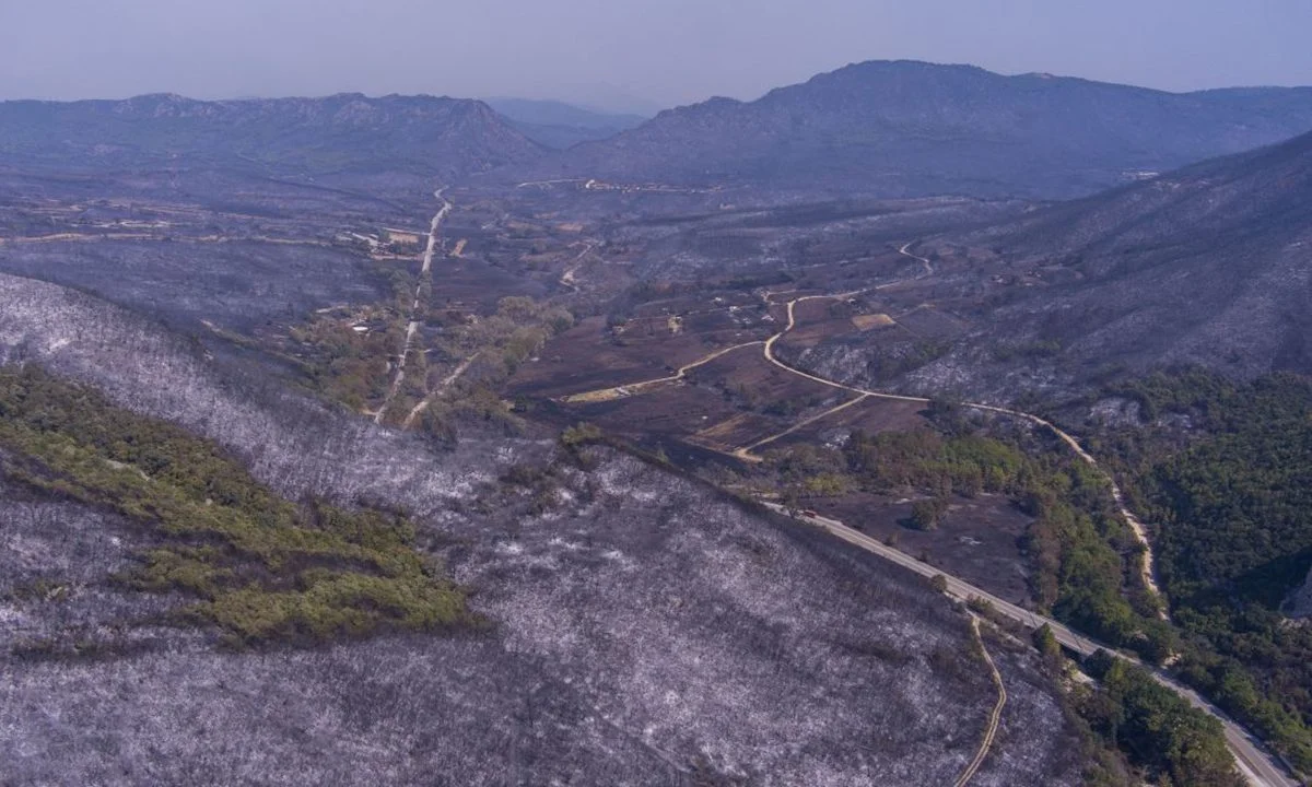 Η Κομισιόν εκθέτει την κυβέρνηση Μητσοτάκη για τον Έβρο - Βιβλική καταστροφή με πανευρωπαϊκή πρωτιά - Σε ιδιώτες «αναδόχους» η αποκατάσταση των καμένων.