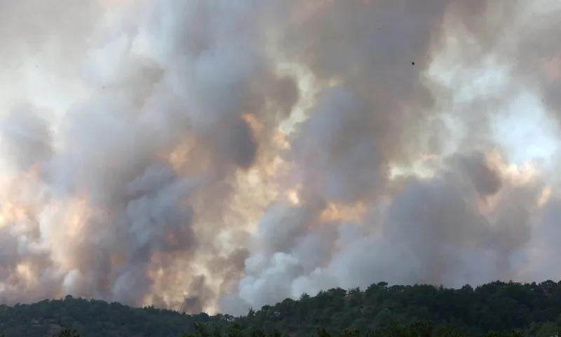 Φωτιά: Χάος και απόγνωση για 15η συνεχόμενη ημέρα στον Έβρο - Νέα εκκένωση στη Λευκίμμη (vids)