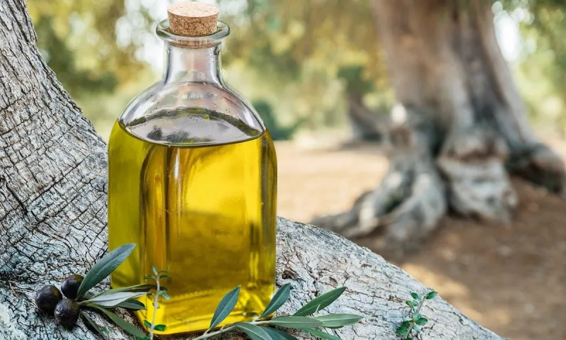 Ακρίβεια: Θα μας βγει το «λάδι» - Αδιανόητη αύξηση τιμής στο ελαιόλαδο!