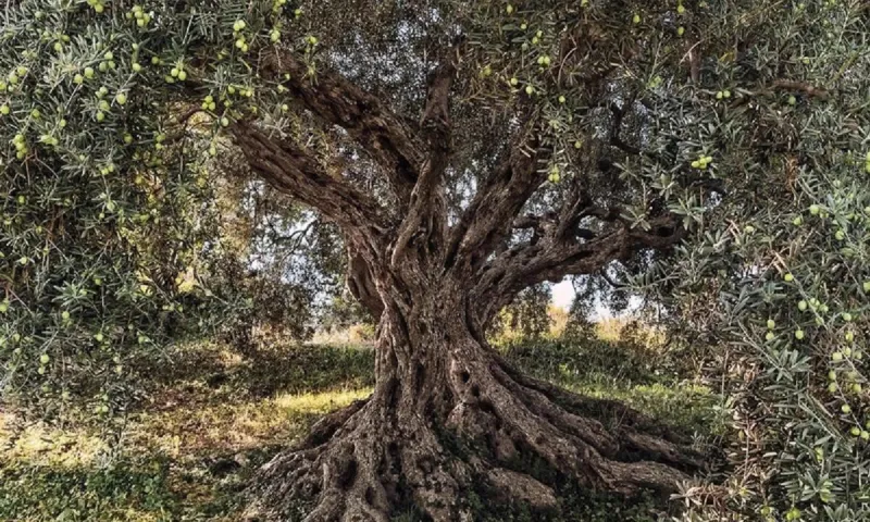 Τούρκοι: Η είδηση ​​μιας μεγάλης καταστροφής για τον κόσμο ήρθε από την Ελλάδα - Αφορά και την Τουρκία