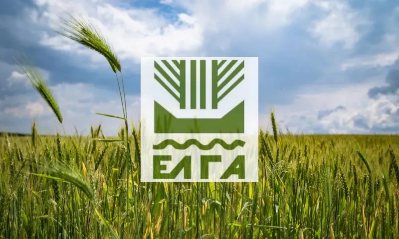 Σε απόγνωση χιλιάδες αγρότες και δενδροκαλλιεργητές - Για πρώτη φορά στην ιστορία του ΕΛΓΑ δεν έγιναν πληρωμές αποζημιώσεων πριν τα Χριστούγεννα για ζημιές του 2023