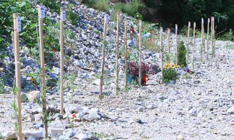 Τέμπη: Η ΝΙΚΗ παρουσίασε όλο το χρονικό της συγκάλυψης του εγκλήματος (vid)