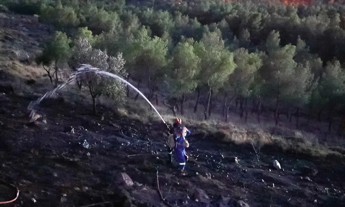ΕΚΤΑΚΤΟ! Φωτιά έχει ξεσπάσει τώρα στο Άλσος Βεϊκου στο Γαλάτσι με τις φλόγες να εξαπλώνονται.