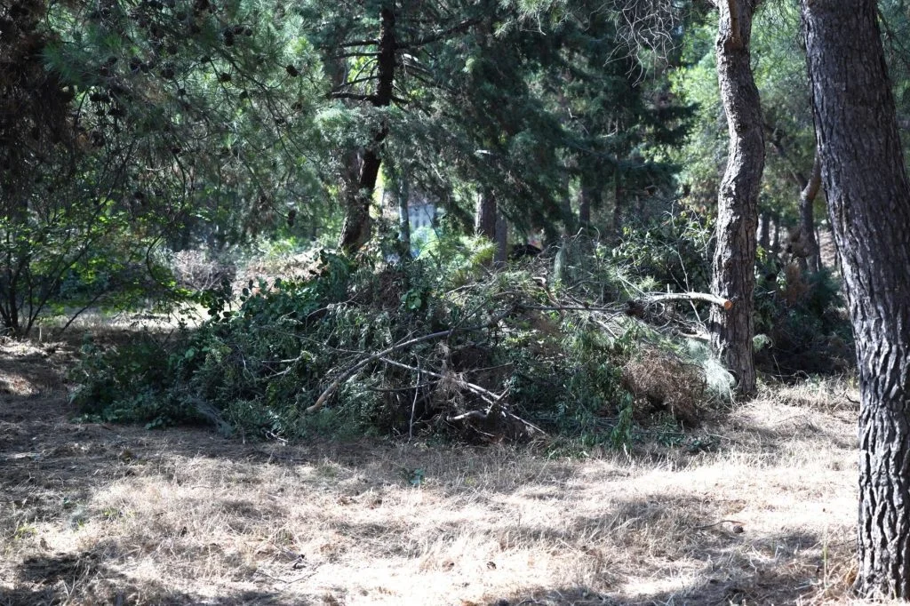 Τώρα - Ακρωτηριασμός συμβασιούχου υπαλλήλου στο Δήμο Καισαριανής - Δούλευε με εργαλεία χωρίς τις απαραίτητες γνώσεις