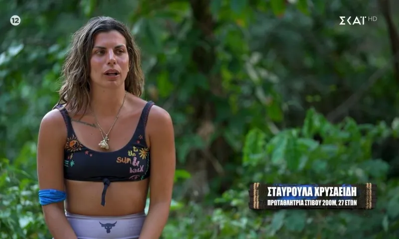 Ανάρτηση με μπηχτή από την Σταυρούλα Χρυσαειδή