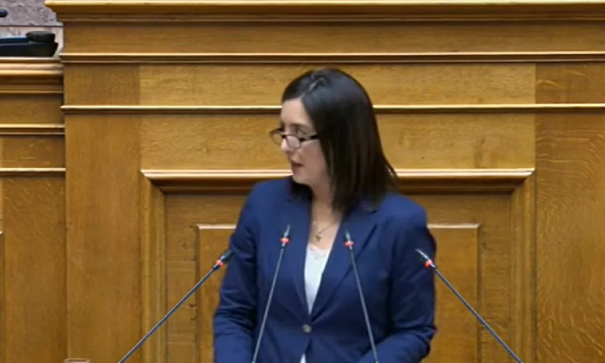 Η βουλευτής που σχολίασε νομοσχέδιο της κυβέρνησης με τη φράση του Βαμβακούλα για 3μελή επιτροπή από 5-6 άτομα