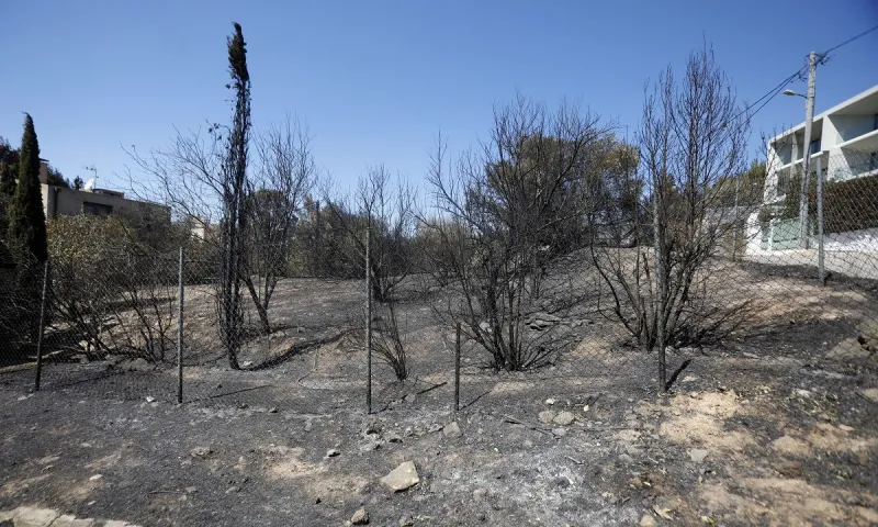 Φωτιές: Πολύ υψηλός κίνδυνος πυρκαγιάς την Τετάρτη (14/8) - Ποιες περιοχές κινδυνεύουν περισσότερο