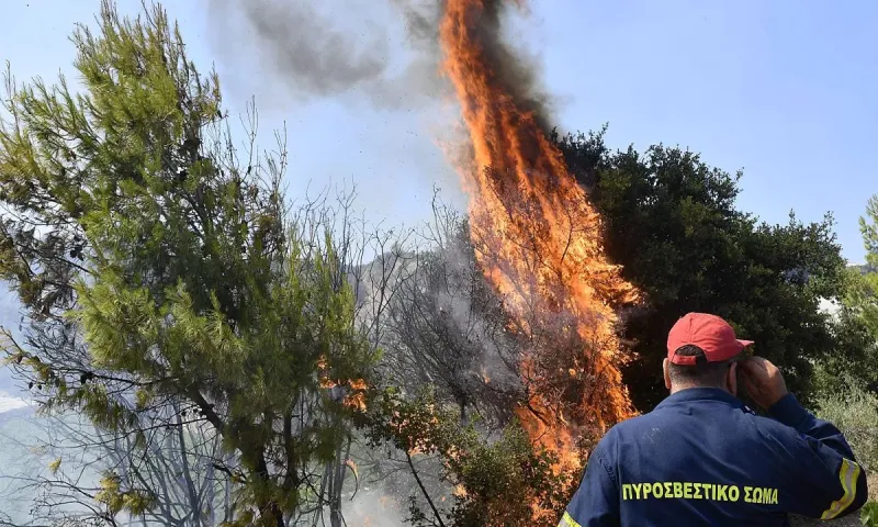 Γενική Γραμματεία Πολιτικής Προστασίας: Πολύ μεγάλος ο κίνδυνος φωτιάς (Σάββατο 24/8) – Αυτές οι περιοχές είναι σε κίνδυνο!