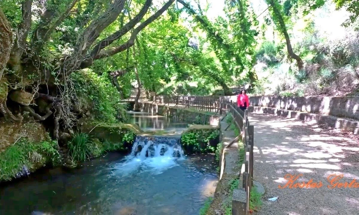 Το Ρέμα των Μύλων αποτελεί μία φυσική ρεματιά με λιμνούλες γεμάτες πέστροφες και καταρράκτες, σε κοντινή απόσταση από την Αθήνα!