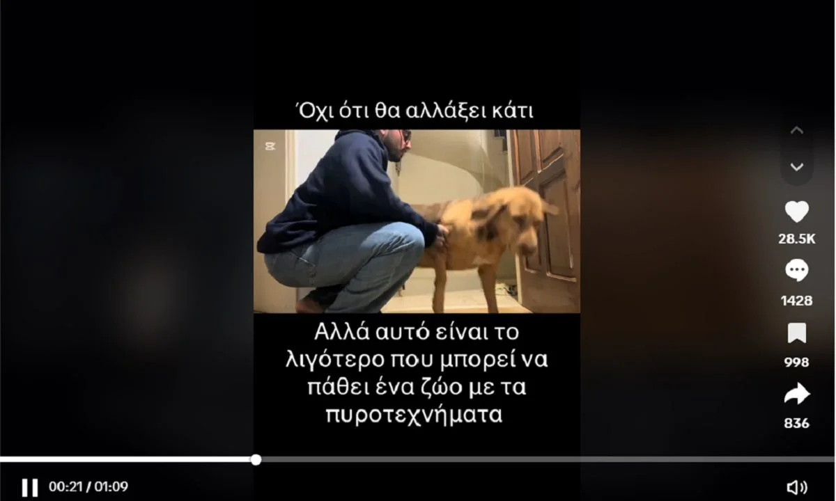 Φοβερό τι μπορεί να πάθει ένα ζώο από τα πυροτεχνήματα. Δείτε το βίντεο που ανέβηκε στο TikTok και συγκέντρωσε πολλά σχόλια.