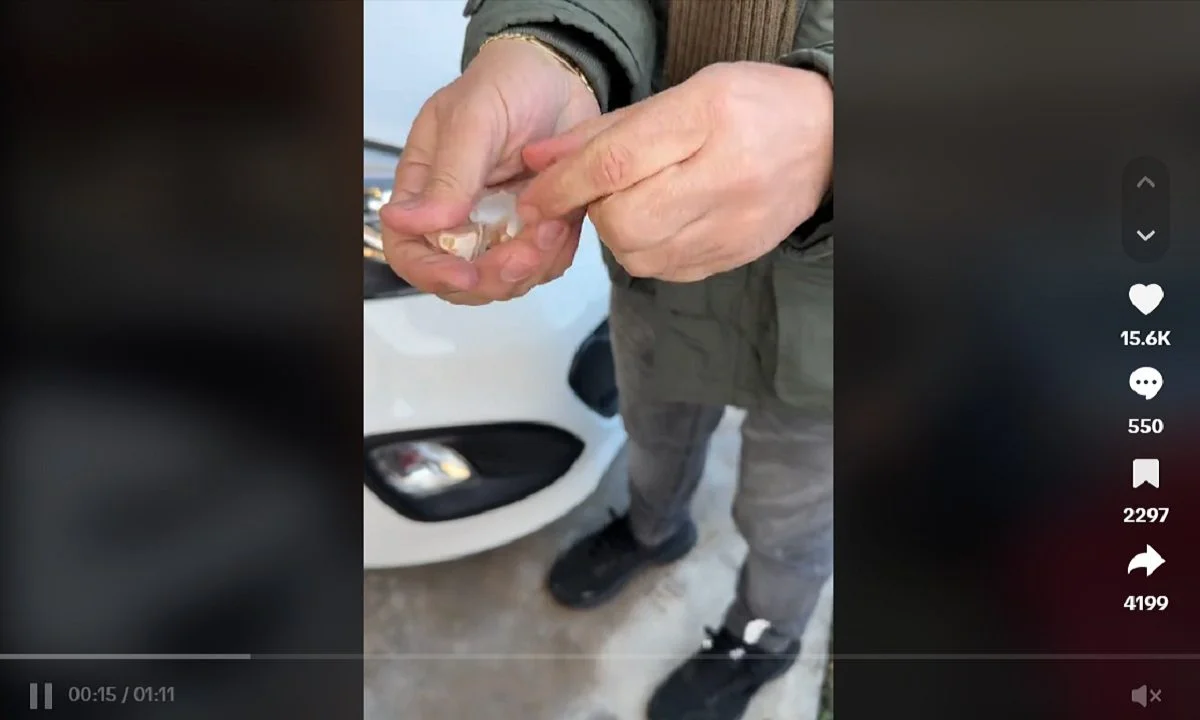 Διώξε τις γρατζουνιές από το αμάξι σου με ένα σκόρδο και νερό. Δείτε το βίντεο που ανέβηκε στο TikTok κι έγινε Viral.