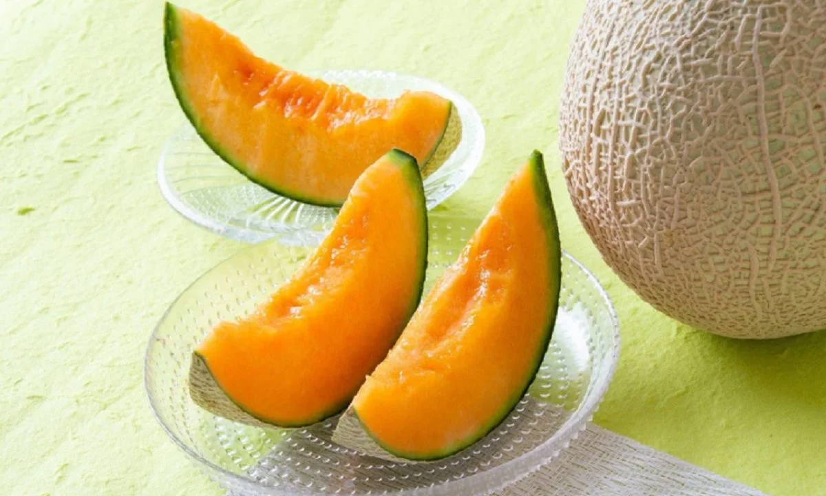 Yubari King Melon