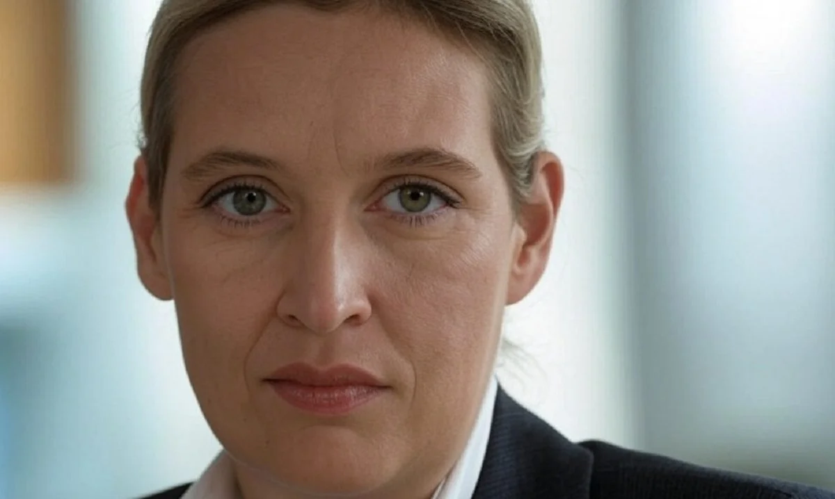 Τι αλλάζει με την άνοδο του AFD στα ελληνοτουρκικά;