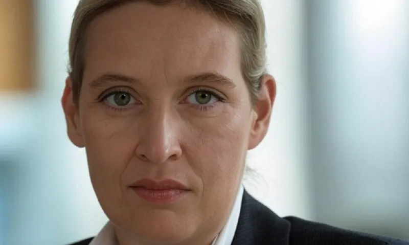 Τι αλλάζει με την άνοδο του AFD στα ελληνοτουρκικά;