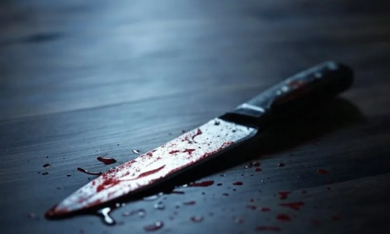 Πήγε να ληστέψει με μαχαίρι 72χρονη στο Ναύπλιο αλλά εκείνη τον μαχαίρωσε πρώτη