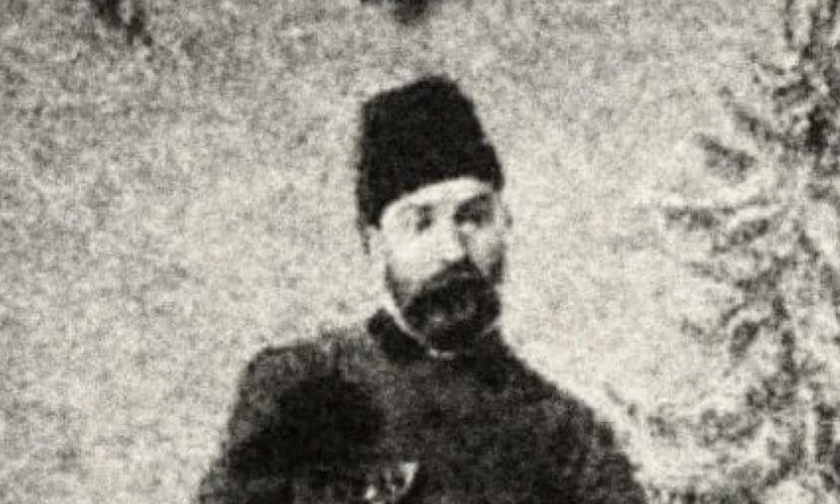 viziinos