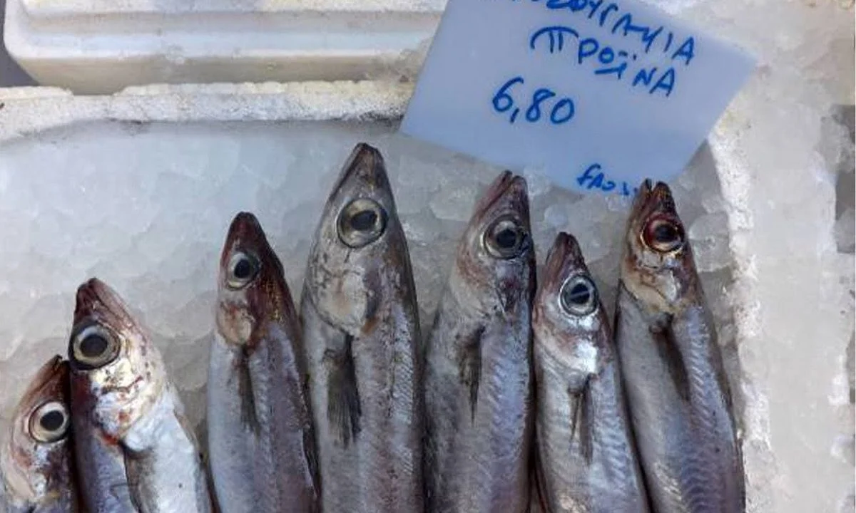 Σε τι διαφέρει το μπακαλιαράκι από το προσφυγάκι; Πώς να μην πληρώσετε χρυσό το φθηνότερο προσφυγάκι σε μία ταβέρνα