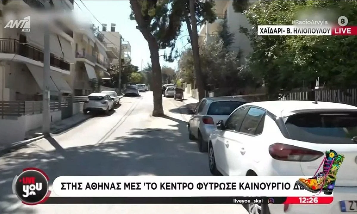 Επικά βίντεο στην εκπομπή των Ράδιο Αρβύλα: Το τεράστιο πεύκο μέσα στη μέση του και τα πρόβατα που έφαγαν όλο το χορτάρι γηπέδου!