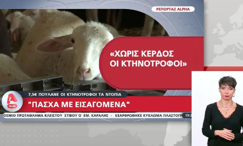 Πάσχα με εισαγόμενα αρνιά! - Δεν επαρκούν τα ντόπια λόγω ευλογίας και πανώλης - Η τιμή το κιλό