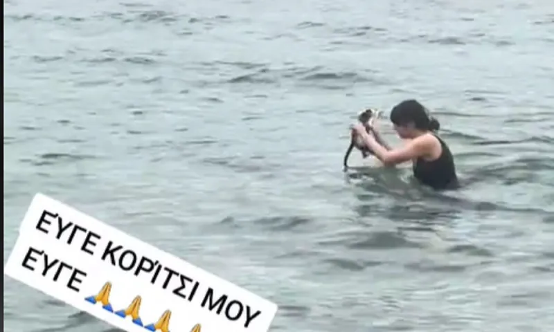 Κορίτσι έπεσε με τα ρούχα στο νερό για να σώσει γατάκι που πνίγονταν και έγινε Viral