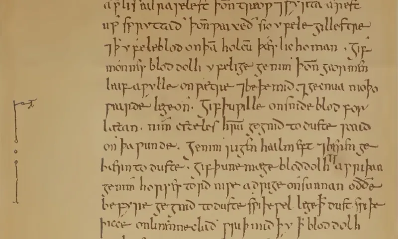 Βρήκαν αηδιαστική συνταγή για φάρμακο 1200 χρόνων με χολή αγελάδας, αλλά την έφτιαξαν και είδαν ότι ήταν αποτελεσματική