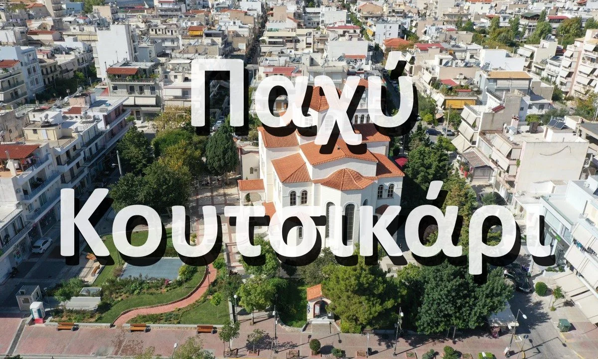 παχύ κουτσικάρι