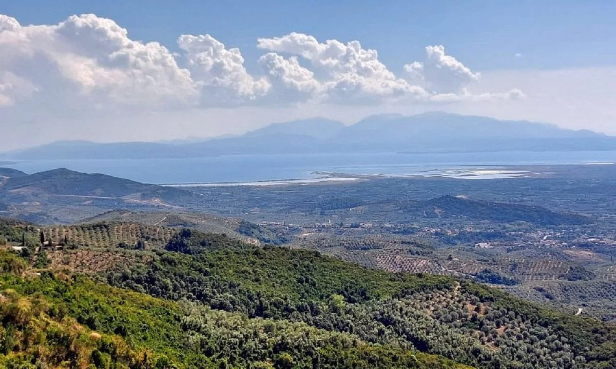 Ακτινίδιο της Άρτας: Ο πράσινος χρυσός της Ηπείρου