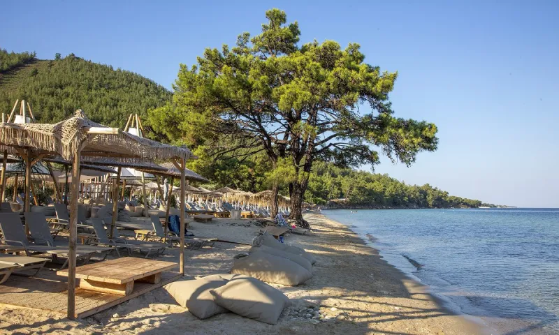 Το πιο επικίνδυνο λουλούδι στον κόσμο βρίσκεται στην Ελλάδα