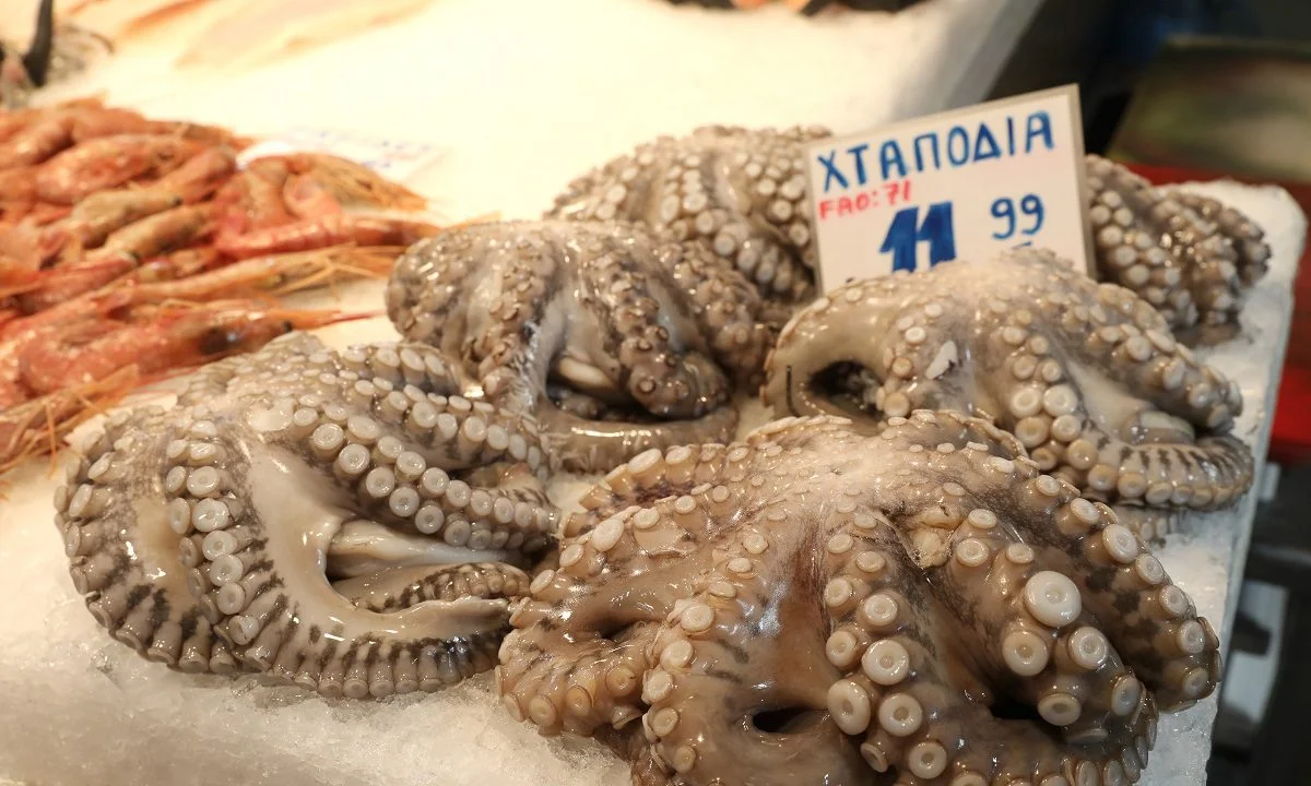 Υπάρχει λόγος που το χταπόδι έχει 8 πλοκάμια