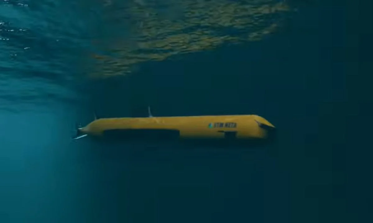 Το BlueWhale της Ελλάδας καταπίνει το τουρκικό NETA 300