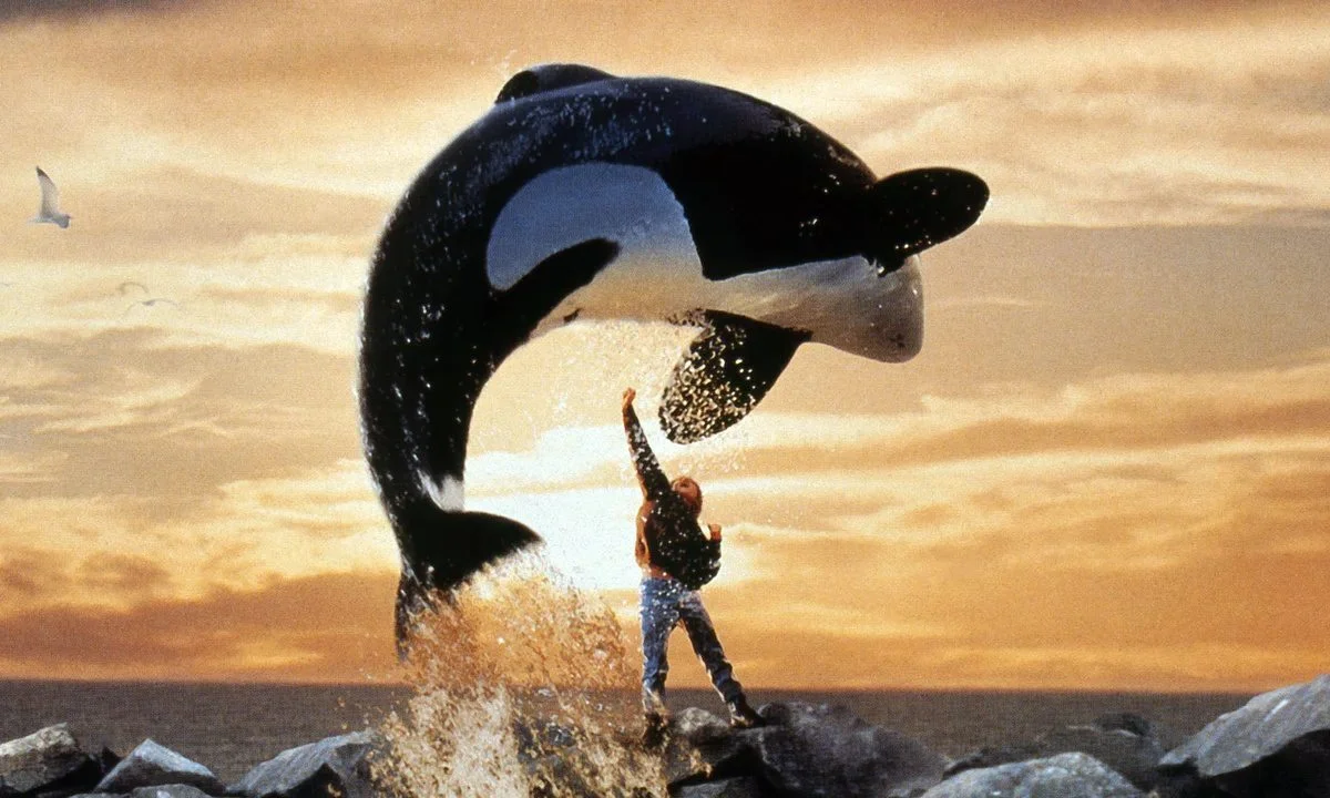 free willy