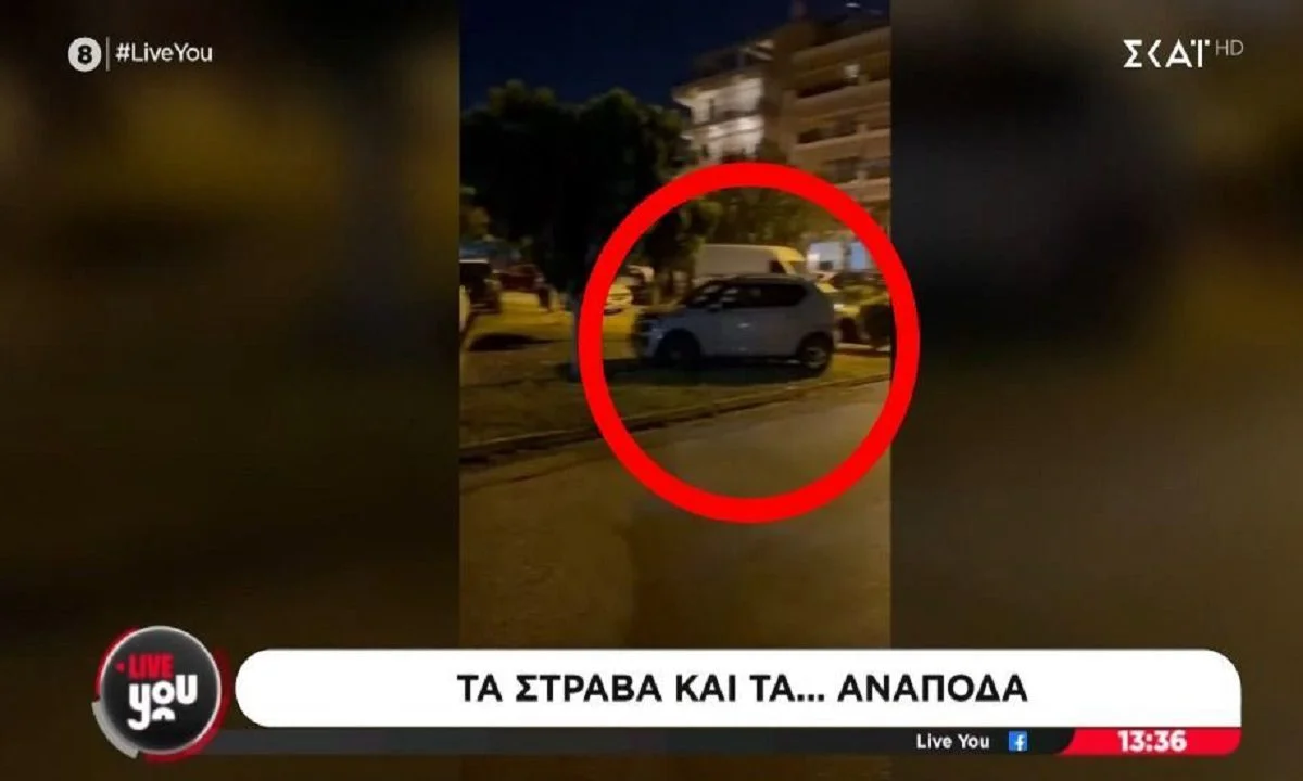 Αγανακτισμένος οδηγός πάρκαρε σε δασάκι