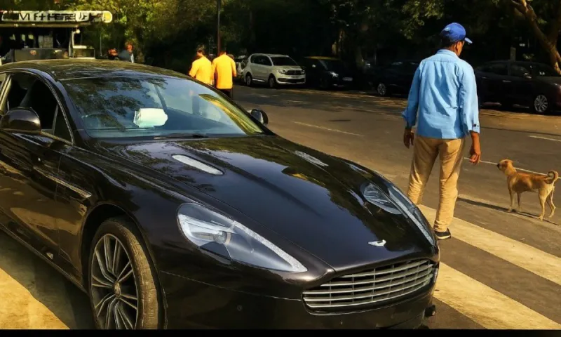 Έριξε την Aston Martin των 700.000$ για να σώσει έναν αδέσποτο σκύλο