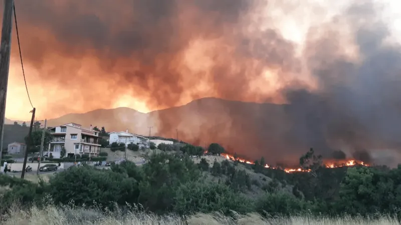 Φωτιά στη Χίο: Για άλλη μια φορά έδρασαν ανενόχλητοι οι εμπρηστές – Εγκληματική ενέργεια «βλέπουν» οι Αρχές – Σχετίζεται με τις εξορύξεις αντιμονίου;