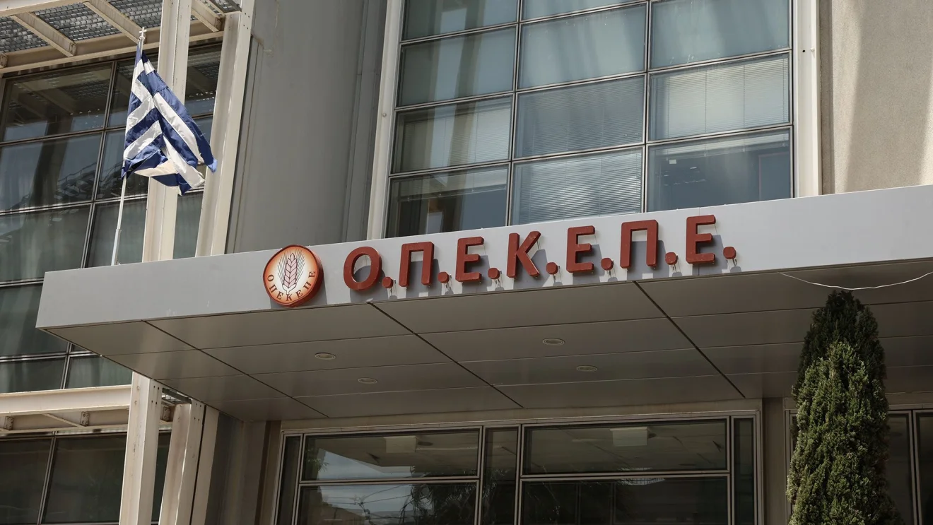 ΟΠΕΚΕΠΕ: Στο στόχαστρο του αμαρτωλού οργανισμού βρέθηκε η Παρασκευή Τυχεροπούλου επειδή έκανε το... έγκλημα να πράξει το καθήκον της!