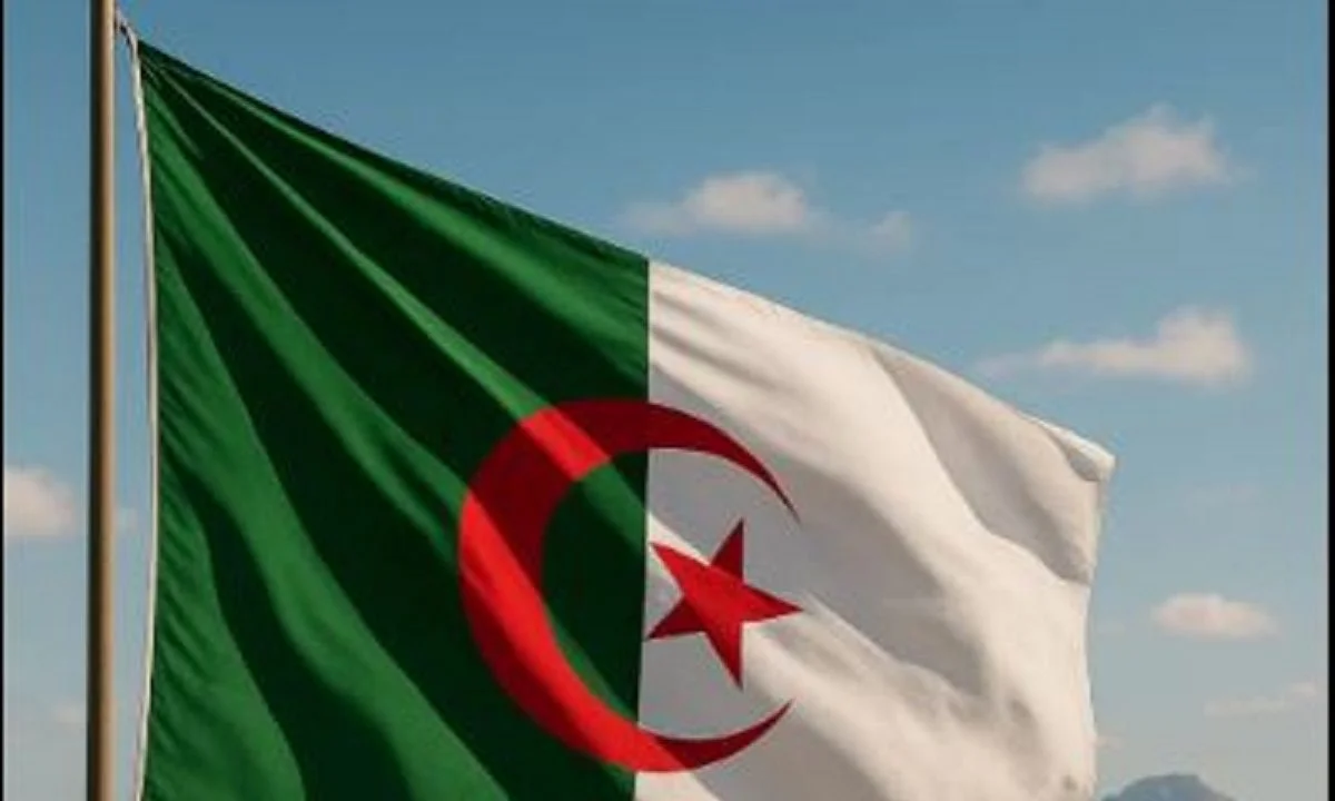 Αυτή είναι η μεγαλύτερη σε έκταση χώρα στην Αφρική και συνορεύει όχι με μία αλλά με επτά άλλες χώρες της ηπείρου