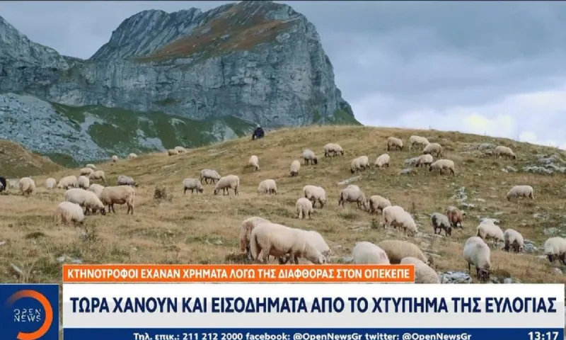 Διπλό χτύπημα στους κτηνοτρόφους: Από το σκάνδαλο του ΟΠΕΚΕΠΕ στην καταστροφή της ευλογιάς