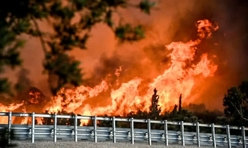 Εικόνα απόλυτου ζόφου από το Meteo: Σχεδόν σε 100.000 στρέμματα έχουν εξαπλωθεί οι 6 μεγάλες πυρκαγιές!