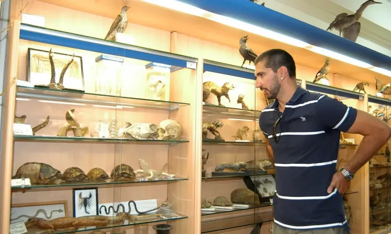 Στογιάκοβιτς: Μάχη Ελλάδας και Σερβίας για τον γιο του
