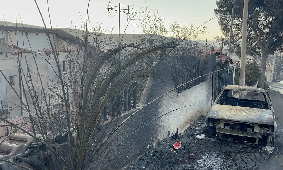 Σιωπή για το έγκλημα - Ο μεγάλος «εμπρηστής» που λέγεται ΔΕΔΔΗΕ ευθύνεται για το 55% των φετινών καμένων εκτάσεων!