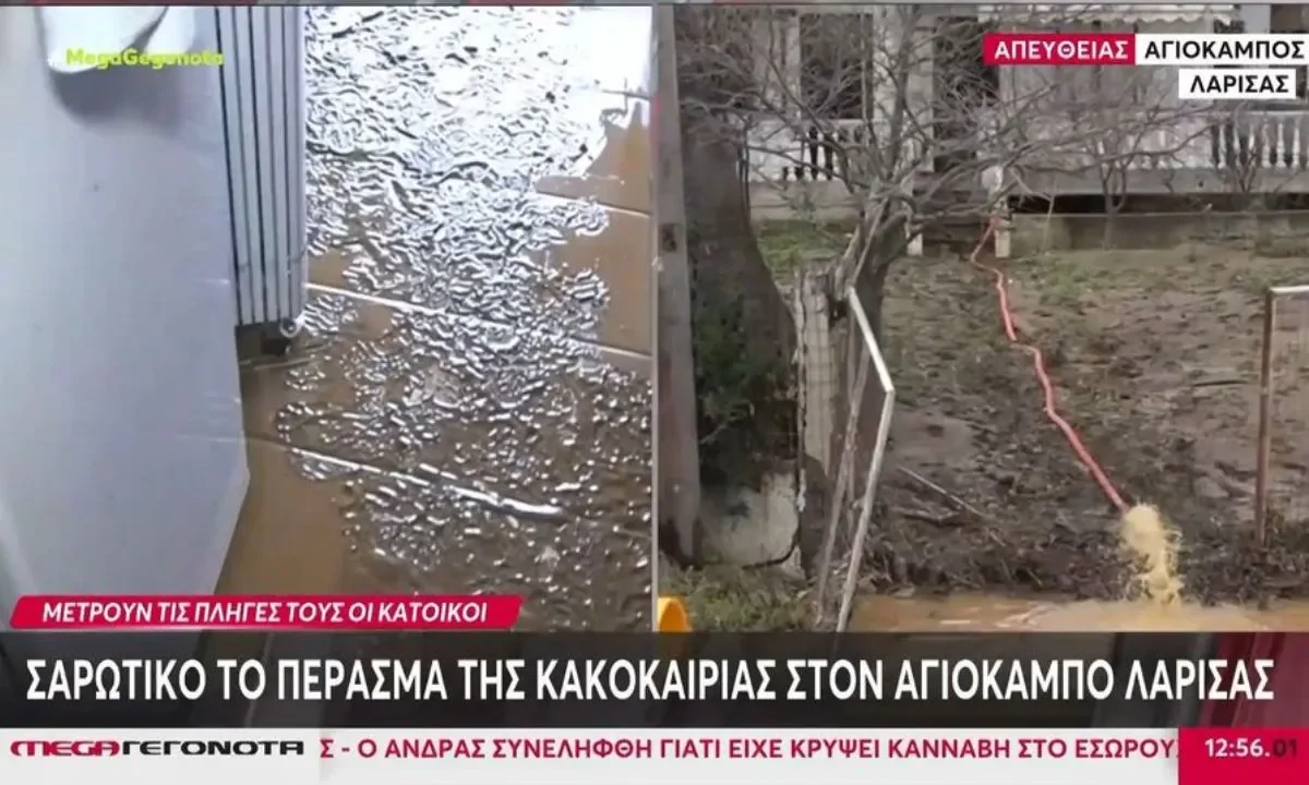 Το MEGA έκλεισε τον Ιανουάριο στην κορυφή της τηλεθέασης. Πρωτιές στην prime time, υψηλά ποσοστά με Φως στο Τούνελ, ρεκόρ στο Champions League