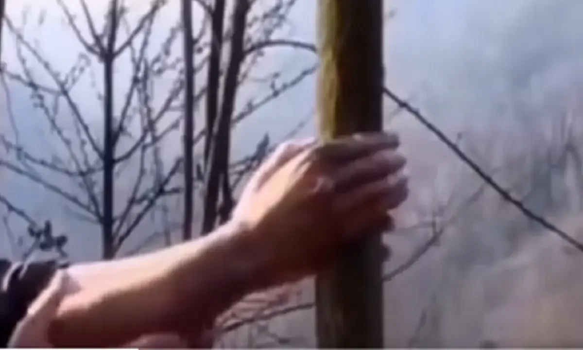 dentro, xeri