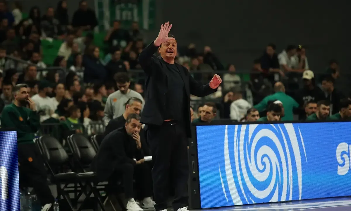 basket, ataman, panathinaikos
