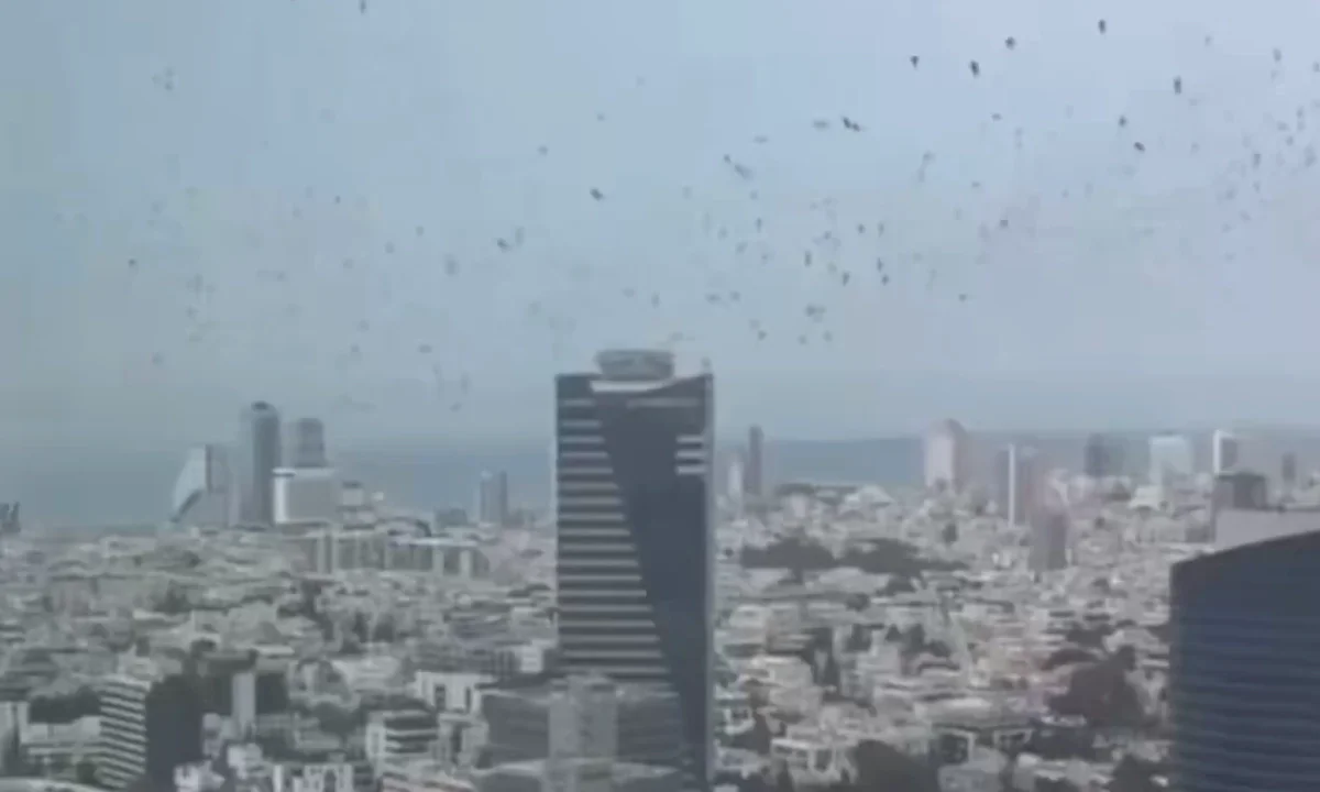 Χιλιάδες μαύρα πουλιά πετούν σε μεγάλο σμήνος πάνω από το Τελ Αβίβ κατά τη μετανάστευση