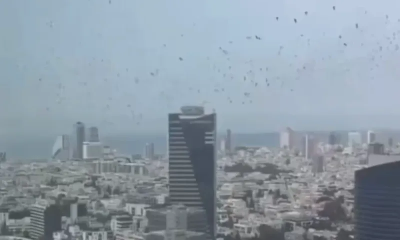 Η εξήγηση για τα χιλιάδες μαύρα πουλιά πάνω από το Τελ Αβίβ που έγιναν viral και προκάλεσαν φόβο και θεωρίες